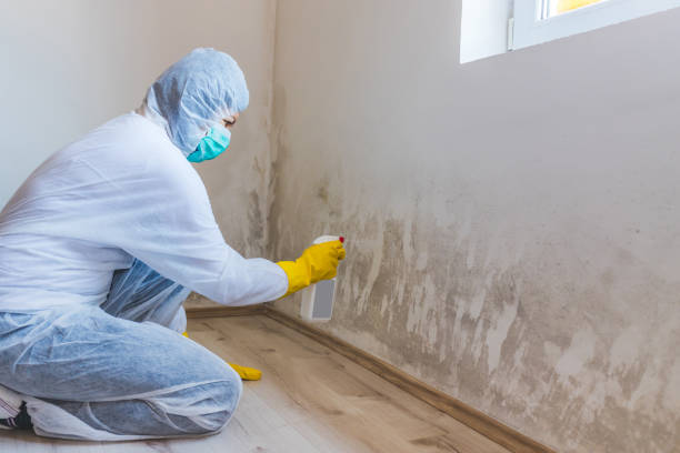 Licensed Crawl Space Mold Removal service in Fairview, NJ - WQB Mold Removal