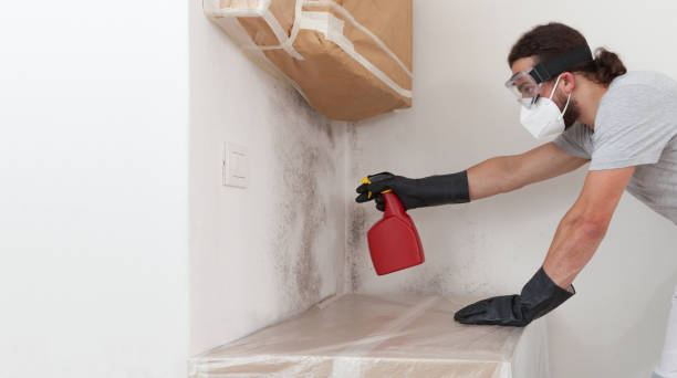 Professional Crawl Space Mold Removal technician working in Fairview, NJ