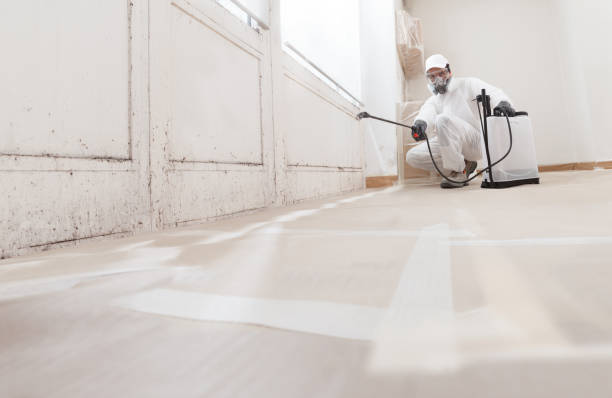 24/7 Emergency Crawl Space Mold Removal experts in Fairview, NJ