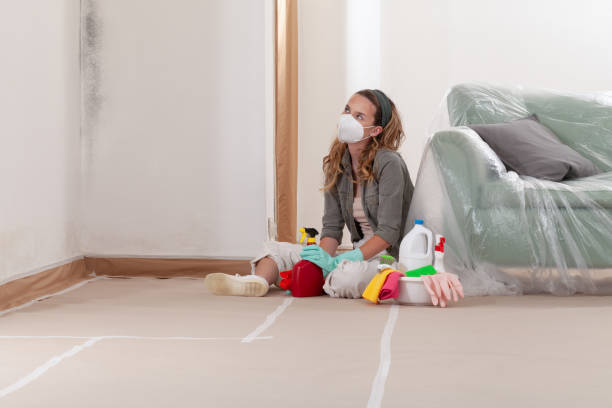 Trusted Crawl Space Mold Removal service in Fairview, NJ - WQB Mold Removal