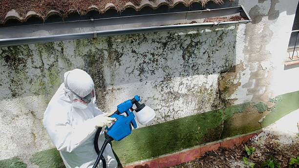Top rated local Crawl Space Mold Removal specialists in Fairview, NJ